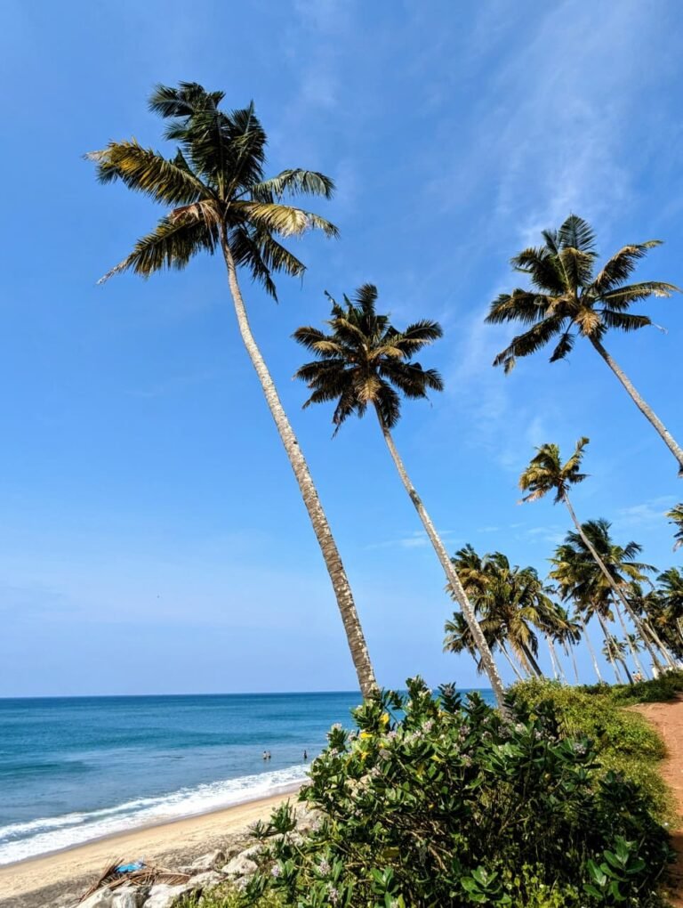 WhatsApp Image 2026-02-02 at 15.28.16