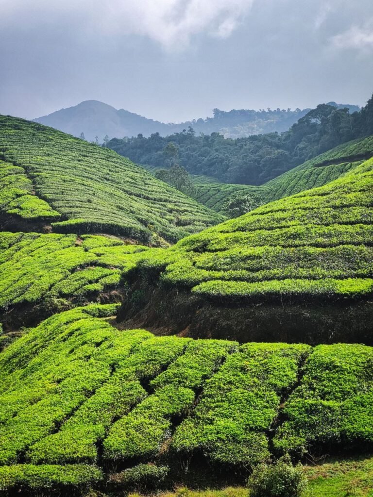 WhatsApp Image 2026-02-02 at 15.28.23 (1)