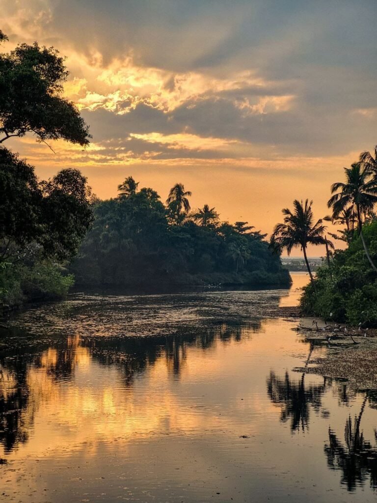 WhatsApp Image 2026-02-02 at 15.28.25 (1)