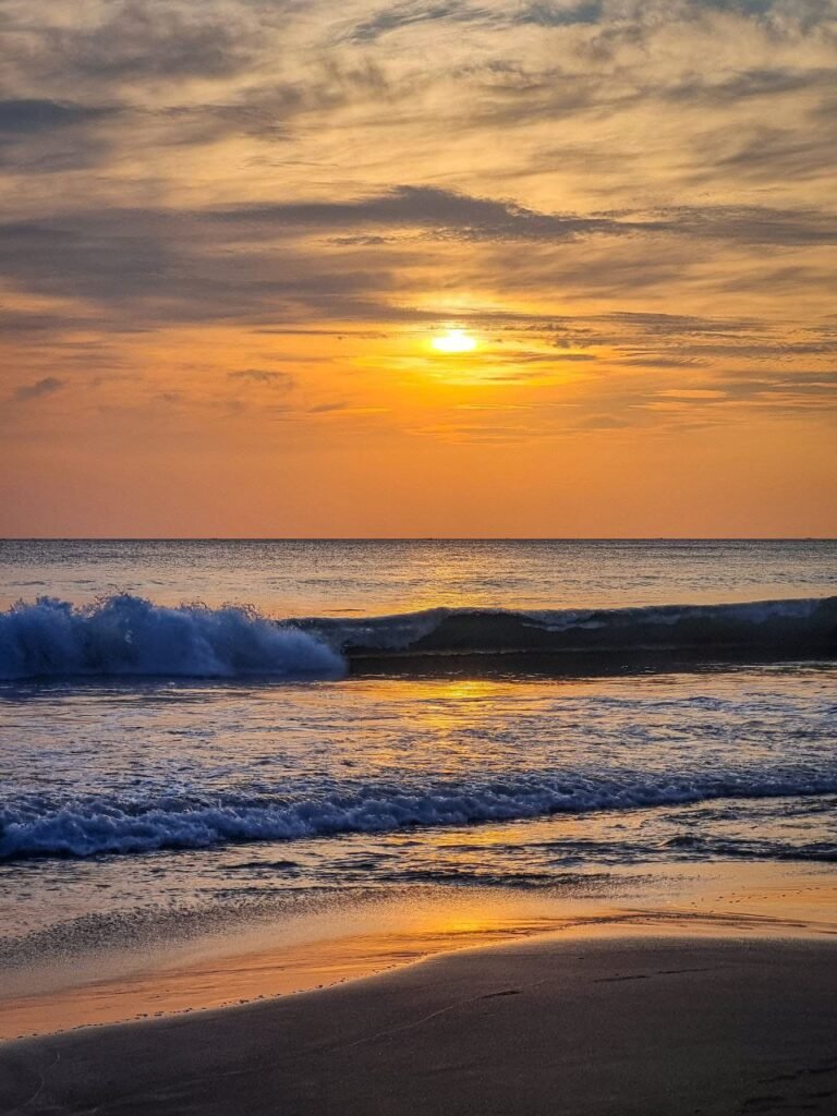 WhatsApp Image 2026-02-02 at 15.28.30 (2)