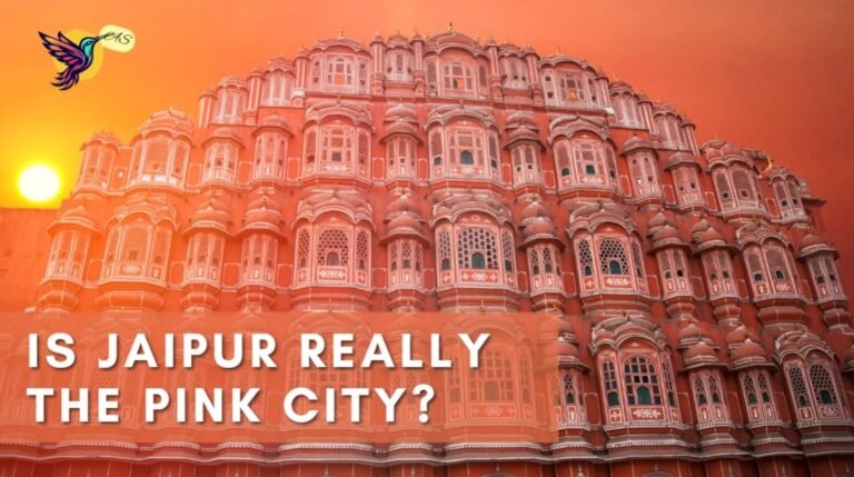 WhatsApp Image 2026-02-02 at 21.58.03 (1)