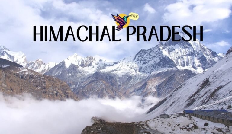 WhatsApp Image 2026-02-02 at 21.58.05